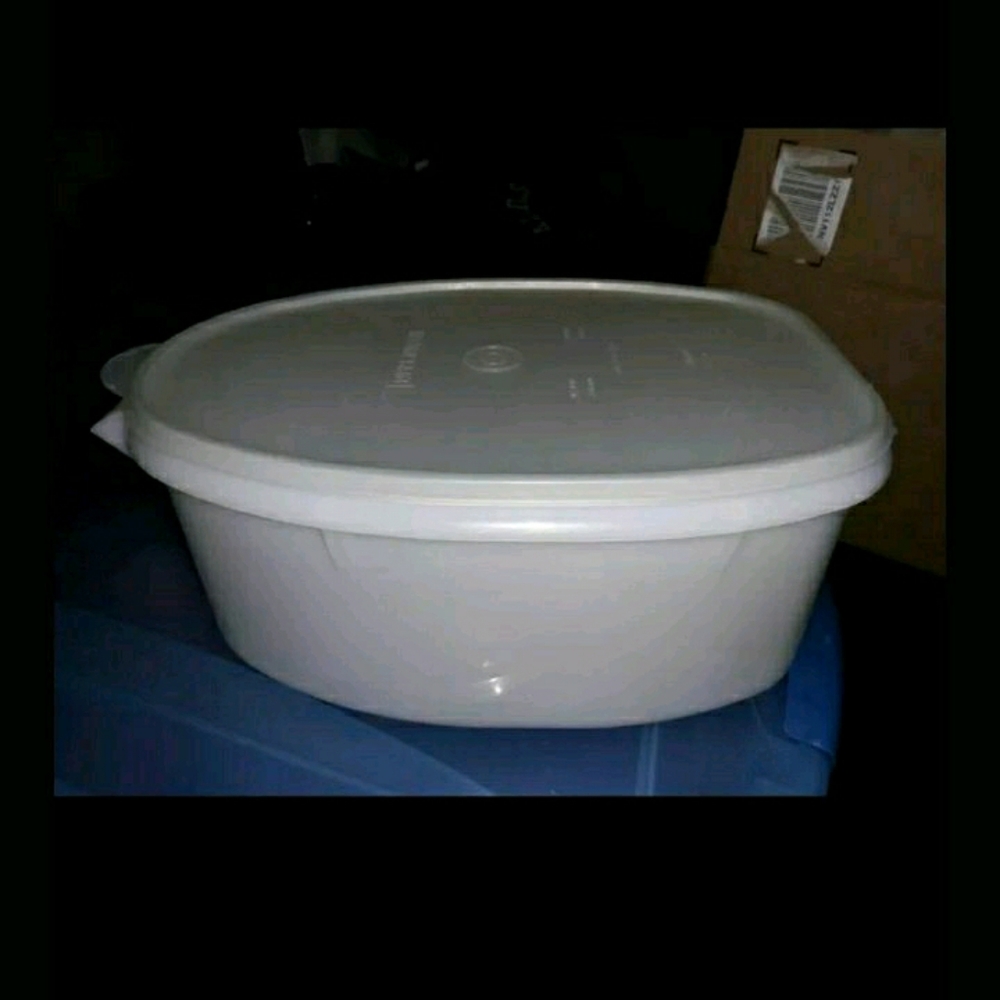 Vintage tupperware meat flavor saver taker